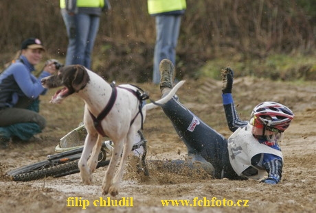 Bakonybel - 0527.JPG